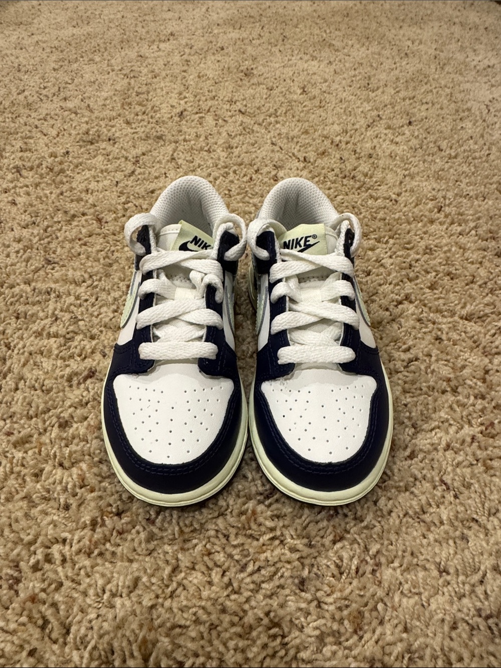 Nike Kids Low-Top Sneakers in White and Navy